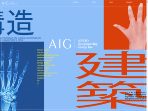 株式会社ANDO Imagineering Group | AIG